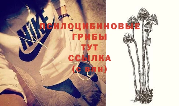 дурь Баксан